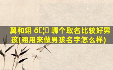 翼和翊 🦁 哪个取名比较好男孩(翊用来做男孩名字怎么样)